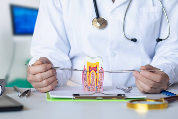 Best Urgent Dental Care for Toothache in Hebron, MD